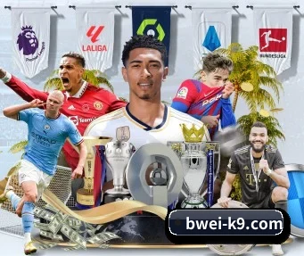 B威官网 APP