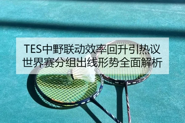TES中野联动效率回升引热议 世界赛分组出线形势全面解析