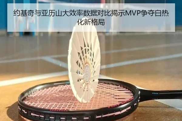 约基奇与亚历山大效率数据对比揭示MVP争夺白热化新格局